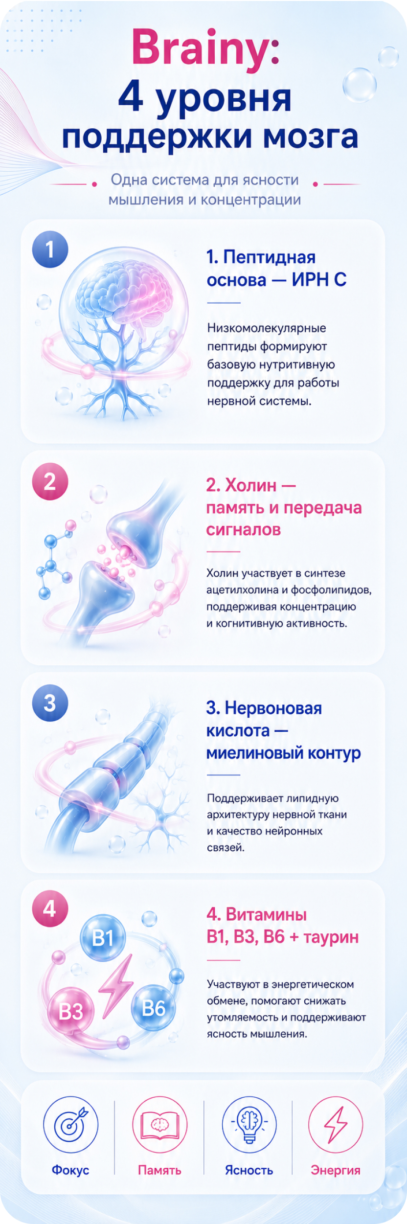 Brainy: 4 уровня поддержки мозга