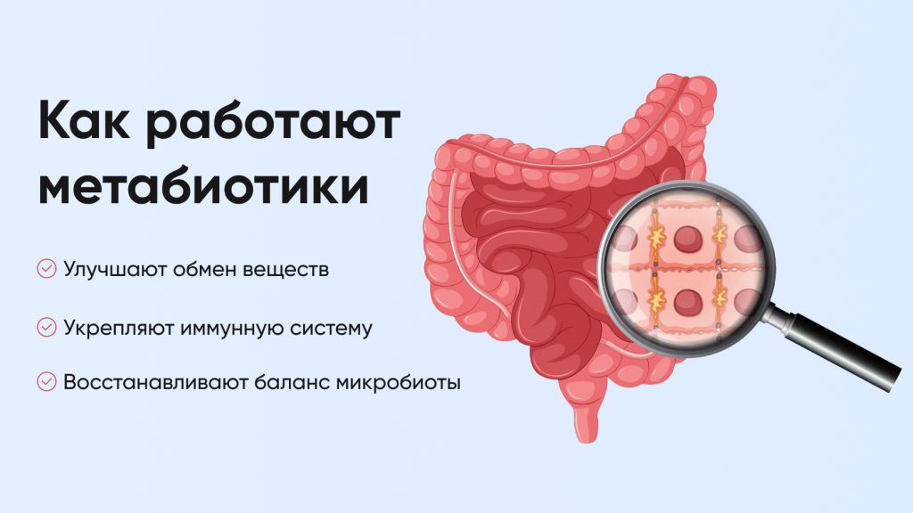 Как работают метабиотики Как работают метабиотики