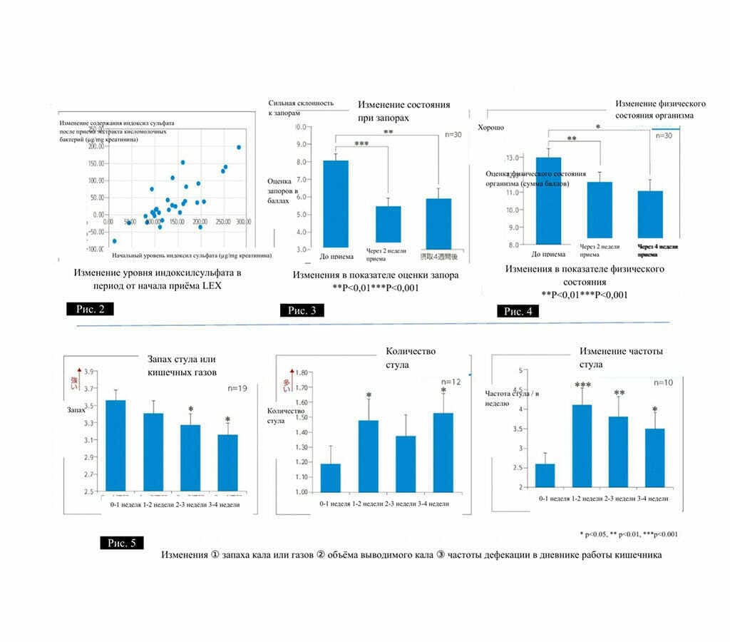 issledovanua-1024x90 (1).jpeg